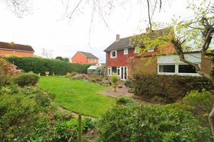 Photo 12- click for photo gallery